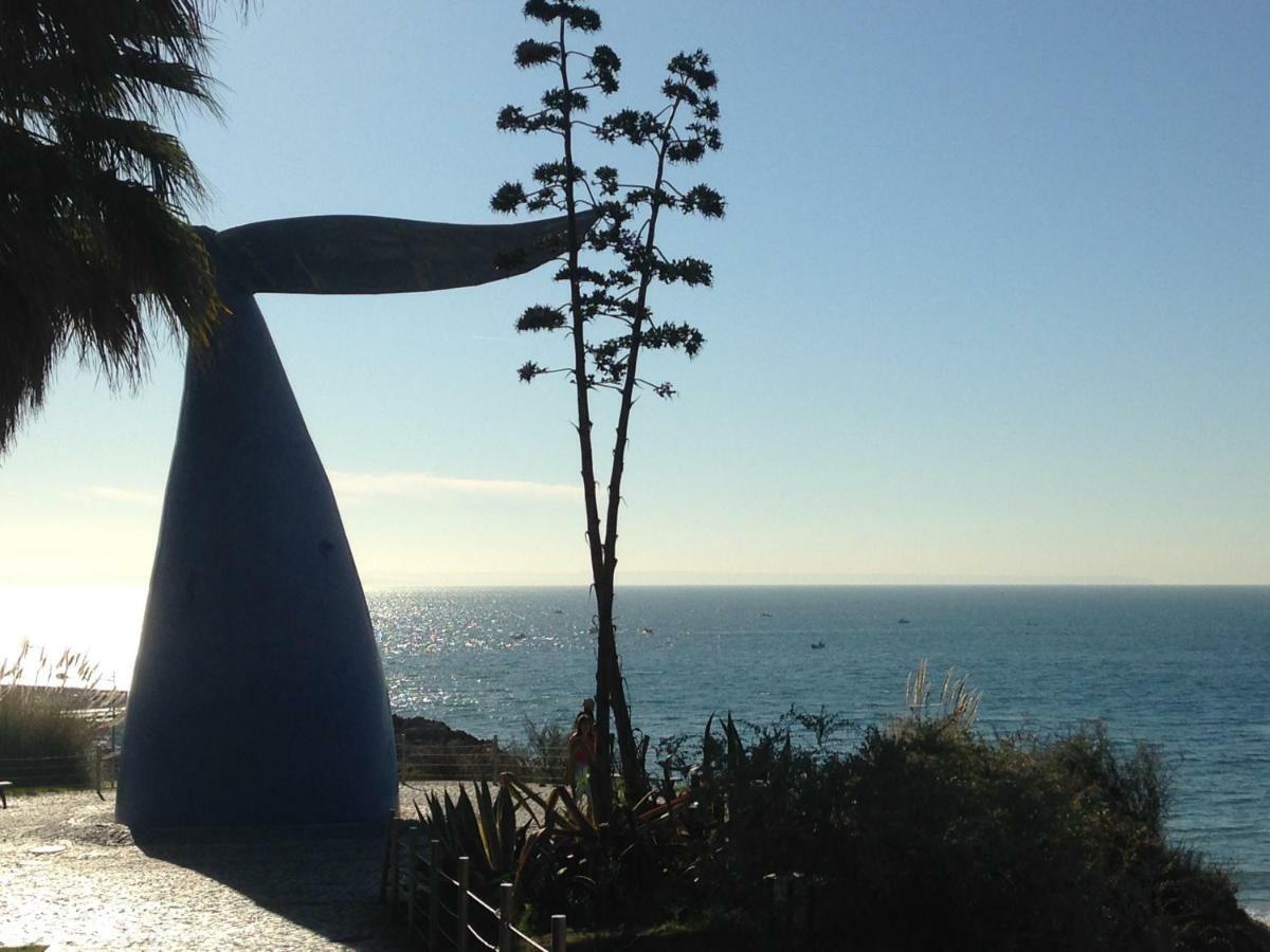 Homestay Beautiful Private Next To Lisbon - New *